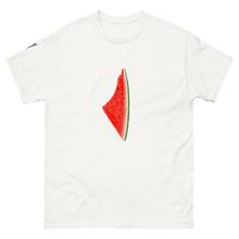 Load image into Gallery viewer, Palestine Watermelon Tee